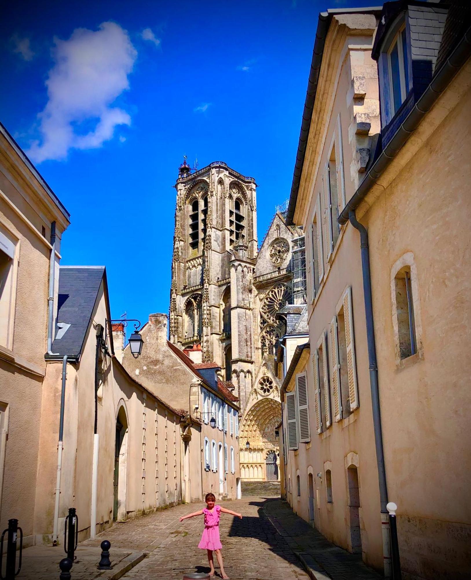 L'Amantine Chambres D'Hotes Et Gite ブールジュ エクステリア 写真